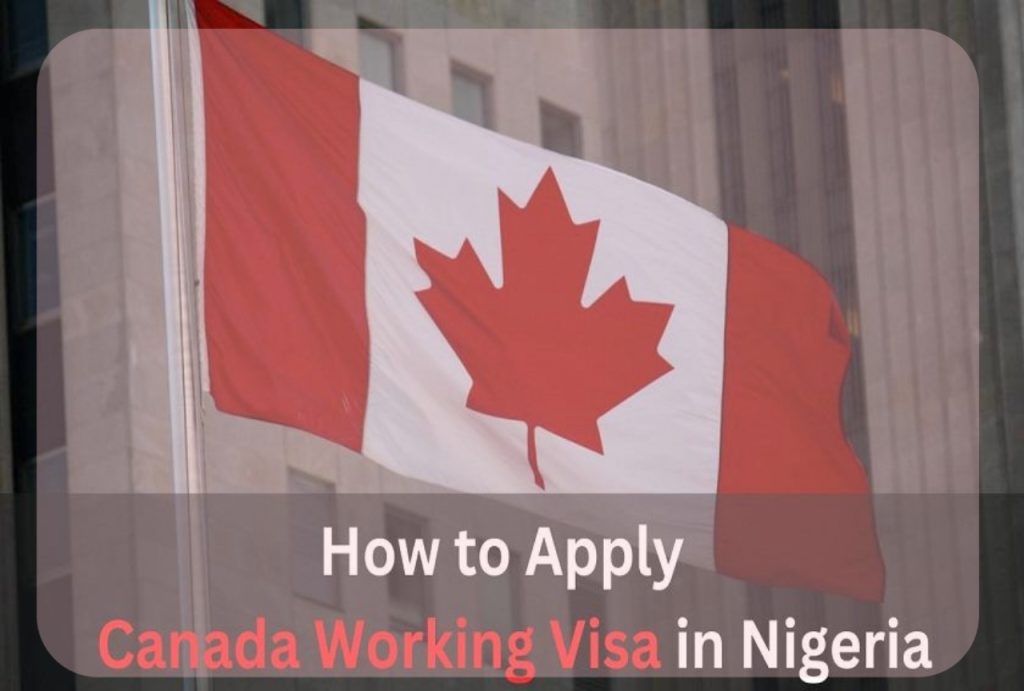 Working in Canada: A Comprehensive Guide for Nigerians