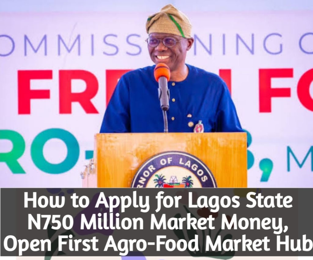 How to Apply for Lagos State N750 Million Market Money, Open First Agro-Food Market Hub