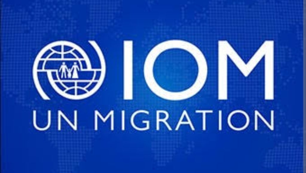 Apply for IOM recruitment ( January 2024) : Open Jobs/Online Application