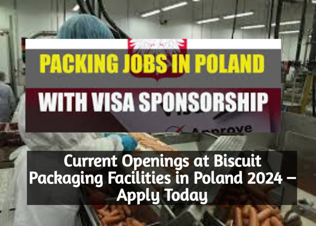 Current Openings at Biscuit Packaging Facilities in Poland 2024 – Apply Today