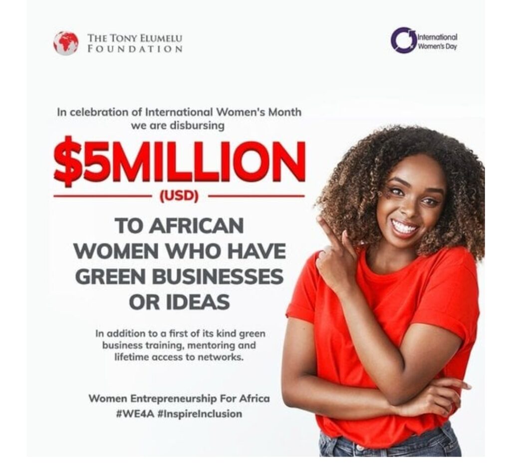 THE TONY ELUMELU FOUNDATION (TEF) WOMEN ENTREPRENEURSHIP FOR AFRICA (WE4A) PROGRAM 2024 FOR FEMALE ENTREPRENEURS (5 MILLION USD IN FUNDING)
