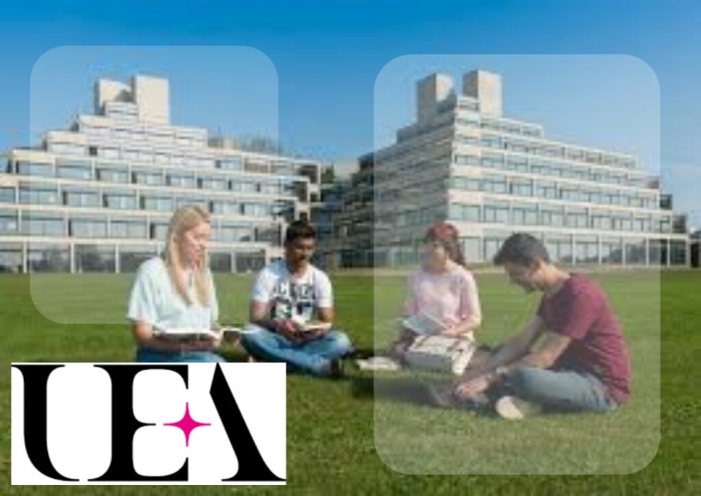 The Ariadne Nicolaeff Scholarship at UEA: An Opportunity for International Students