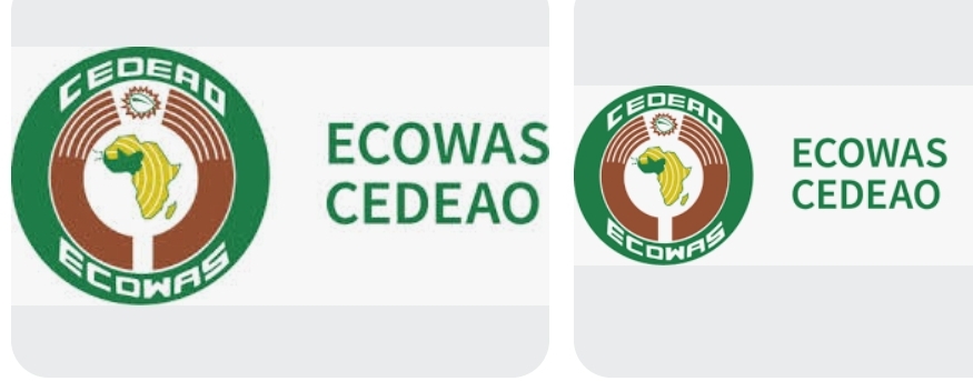 Apply for ECOWAS Bank for Investment and Development (EBID) Young Professionals Programme 2025
