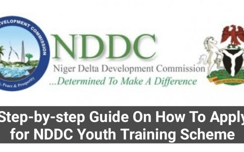 Step-by-step Guide On How To Apply for NDDC Youth Training Scheme - De ...
