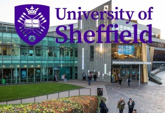 University of Sheffield International Postgraduate Merit Scholarships 2025