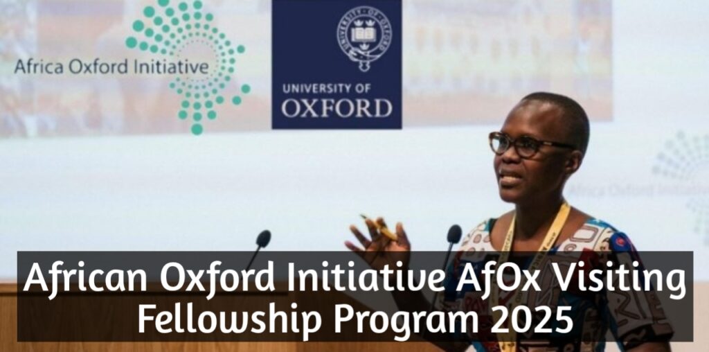 African Oxford Initiative AfOx Visiting Fellowship Program 2025
