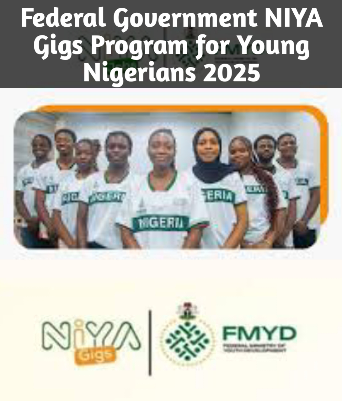 Call for Applications: Federal Government NIYA Gigs Program for Young ...