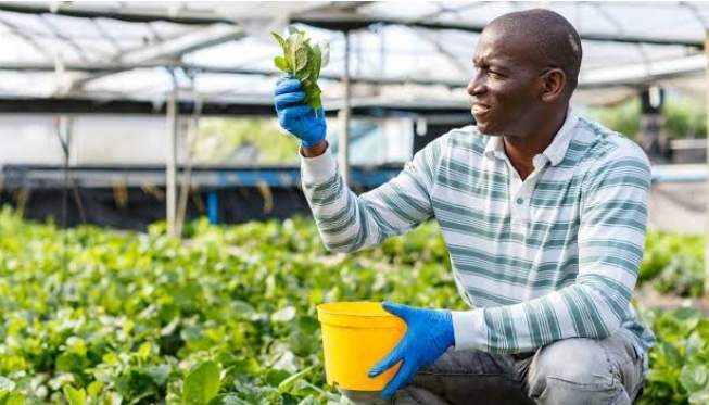 Call for Applications: Federal Government Green Money Project 2025  The Green Money Project 2025 is now open for applications! This project is a special