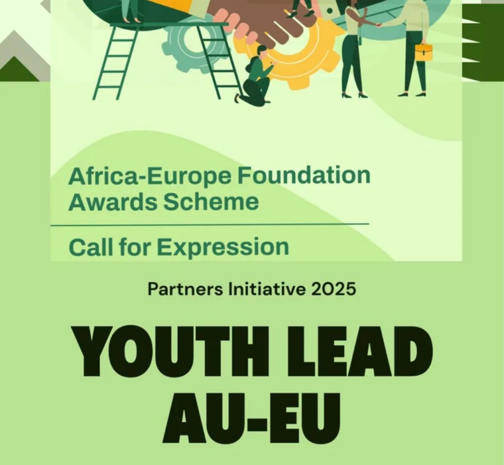 Africa-Europe Youth Awards Scheme 2025 | Win €5,000 Grant, €10,000 Special Visibility Award & Mentorship