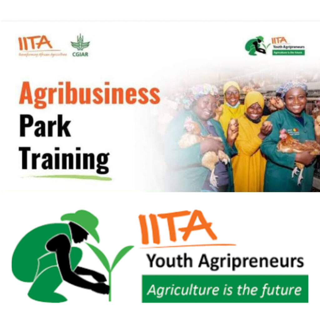 Call For Applications: IITA Youth in Agribusiness Training