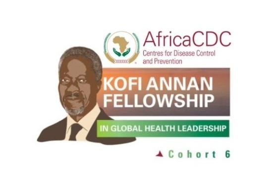 Kofi Annan Global Health Leadership Programme for Africans 2026